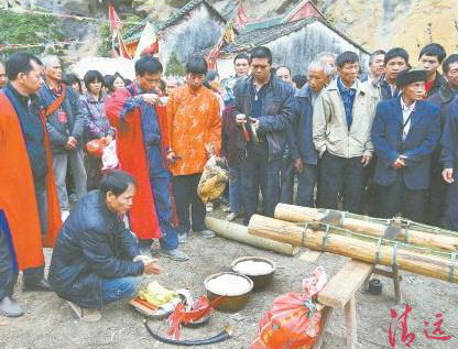 豎起刀桿之前,用活雞鴨來祭祀祈求平安。