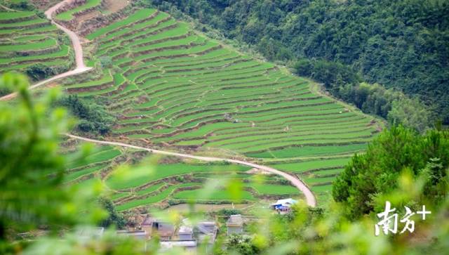 黑山村梯田。記者黃津 攝