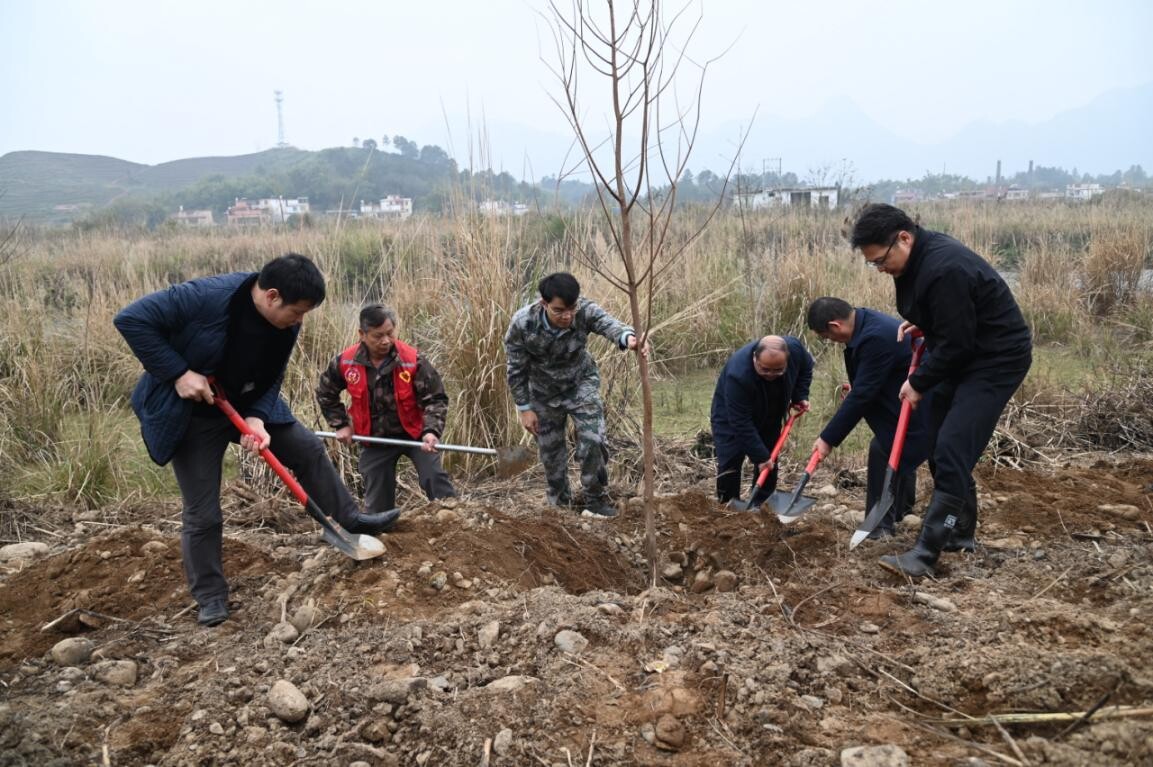 兵“林”城下 退役軍人走在綠美清遠(yuǎn)生態(tài)建設(shè)“第一方陣”，萬株新苗筑牢粵北生態(tài)屏障